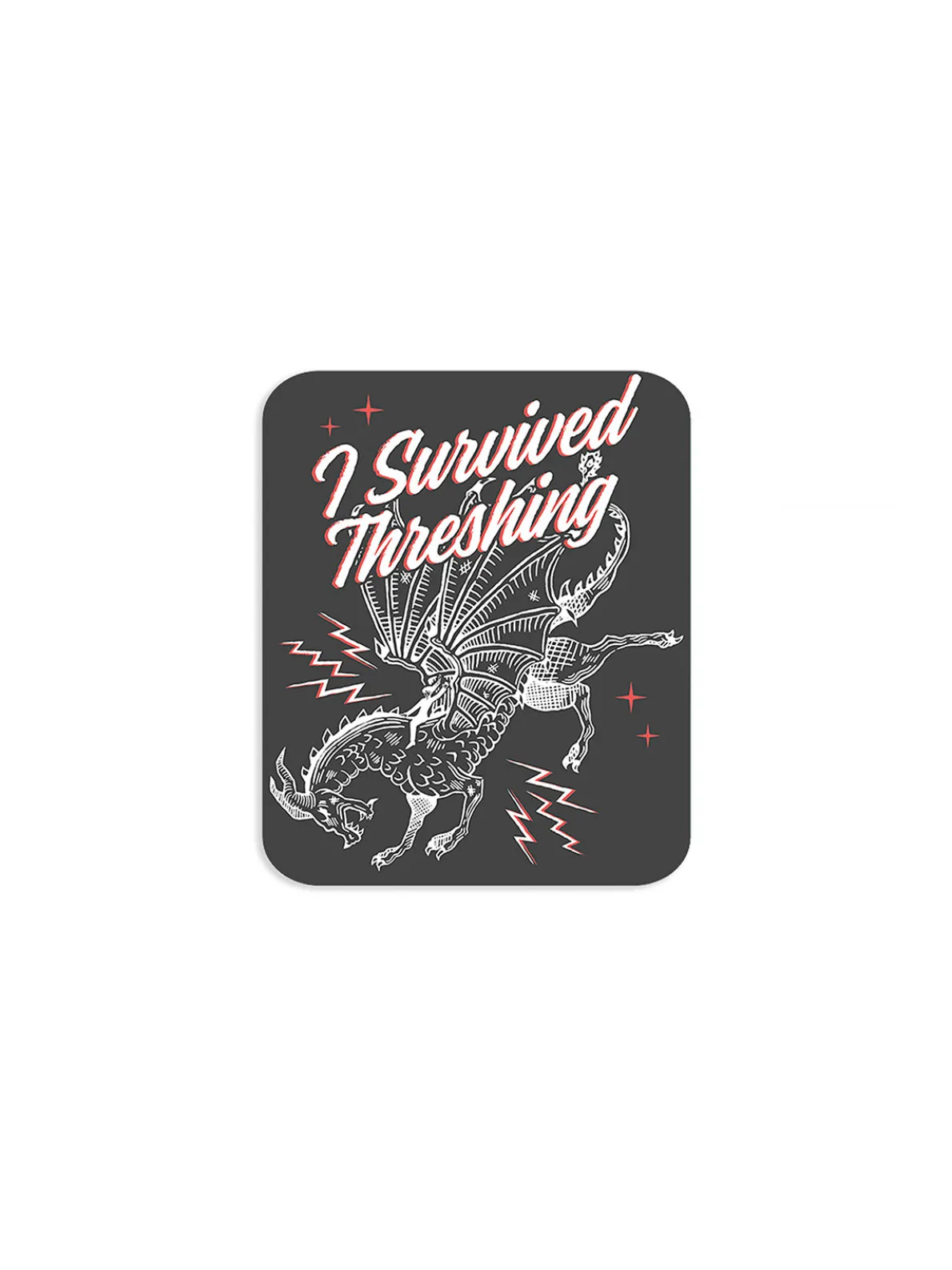 Fourth Wing: Dragon Rider Stickers - Set of 4